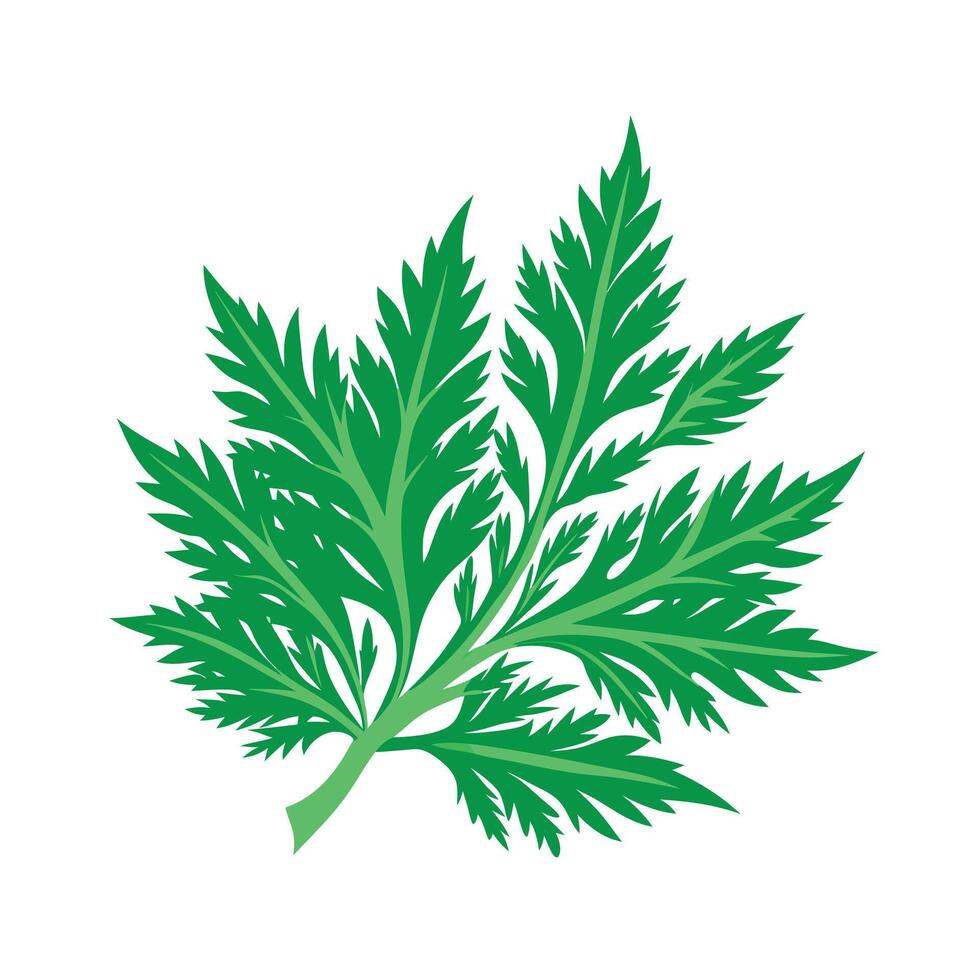 Realistic Beautiful Leaves Illustration vector