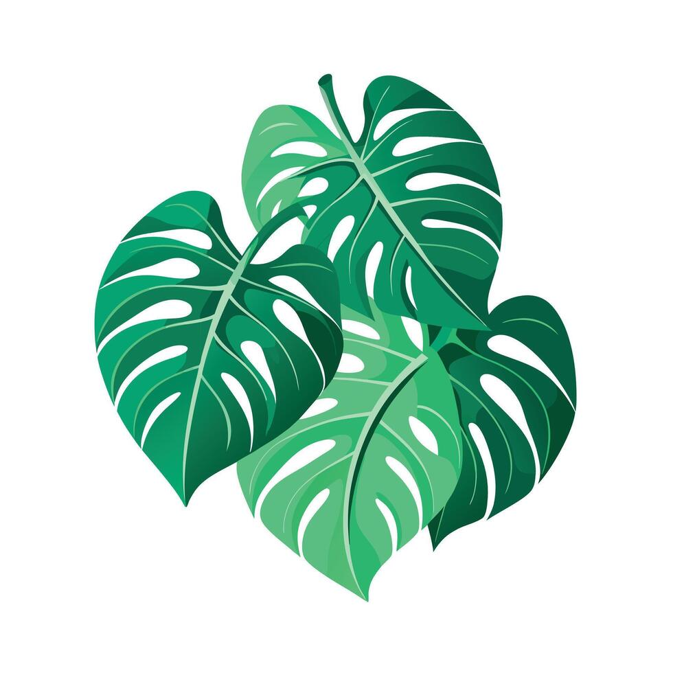 Realistic Beautiful Leaves Illustration vector