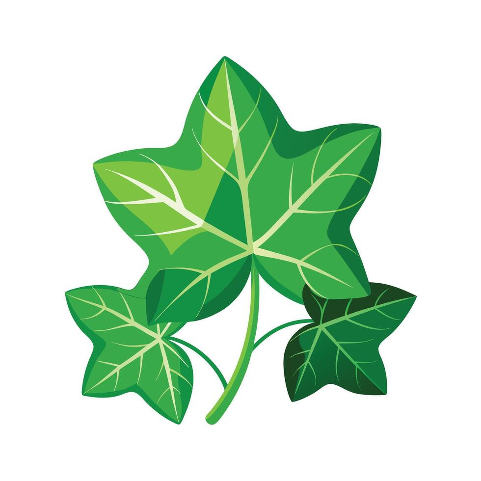 Realistic Beautiful Leaves Illustration vector