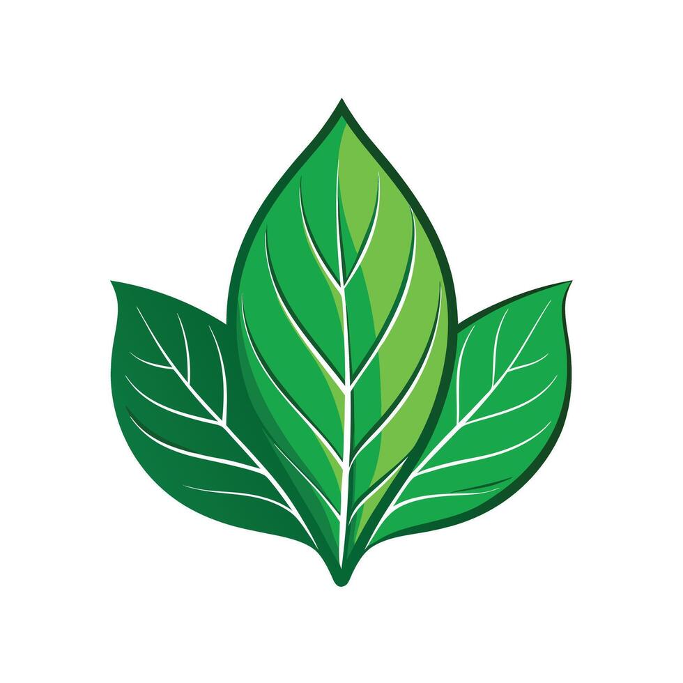 Realistic Beautiful Leaves Illustration vector