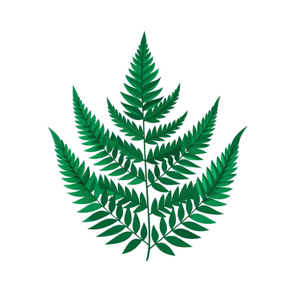 Realistic Beautiful Leaves Illustration vector