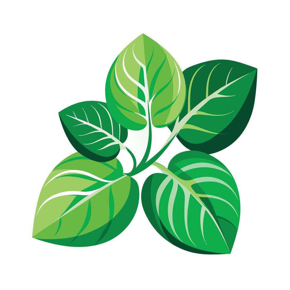 Realistic Beautiful Leaves Illustration vector