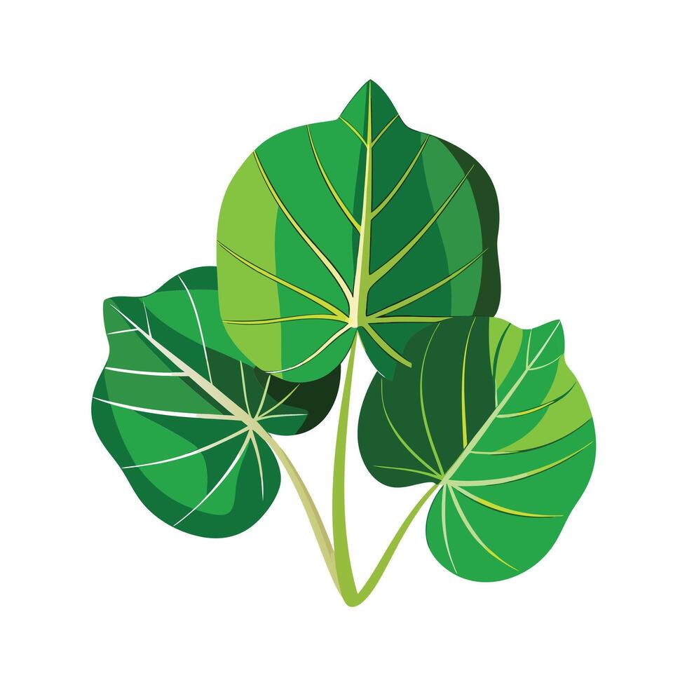 Realistic Beautiful Leaves Illustration vector
