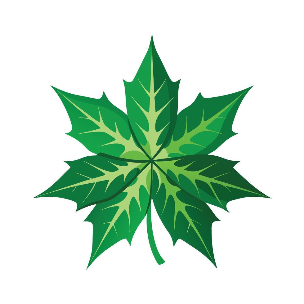 Realistic Beautiful Leaves Illustration vector