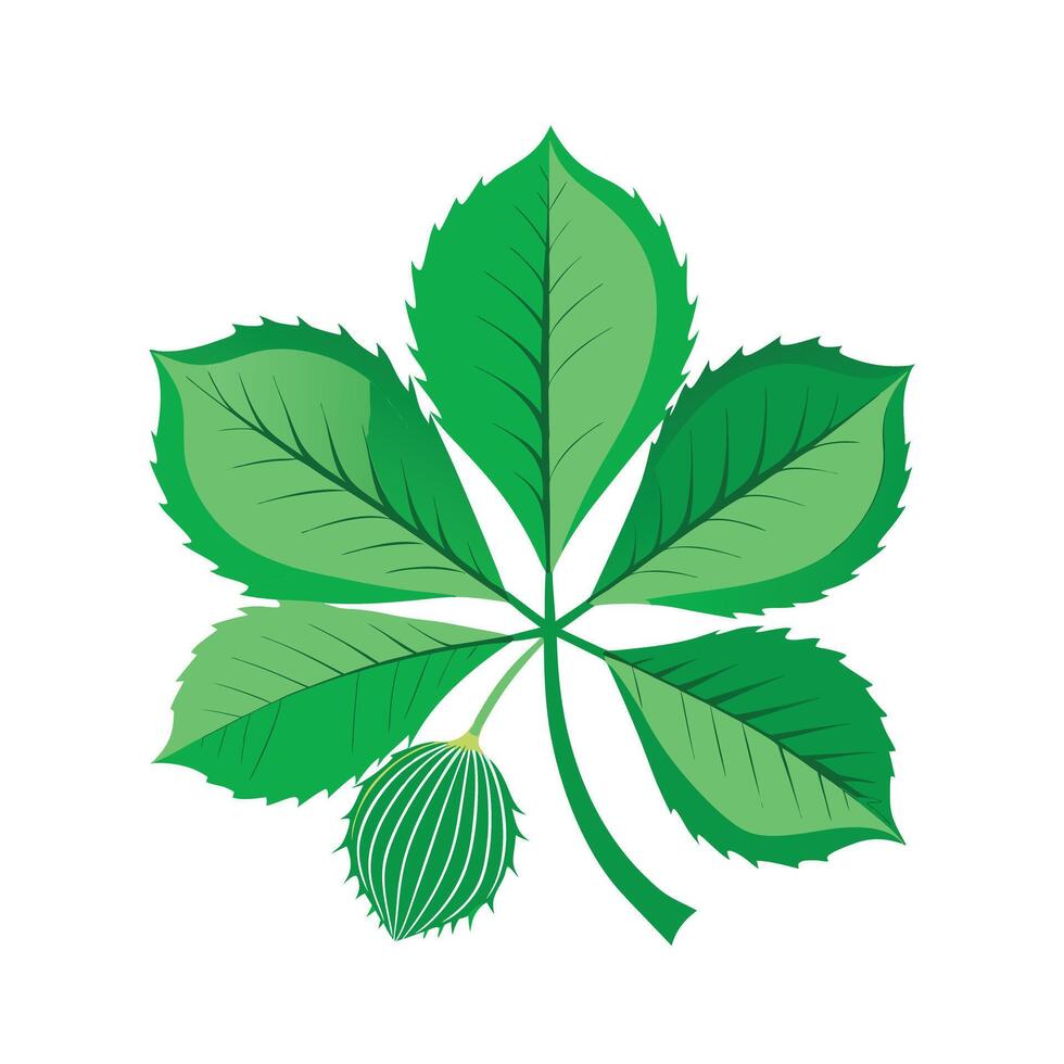 Realistic Beautiful Leaves Illustration vector