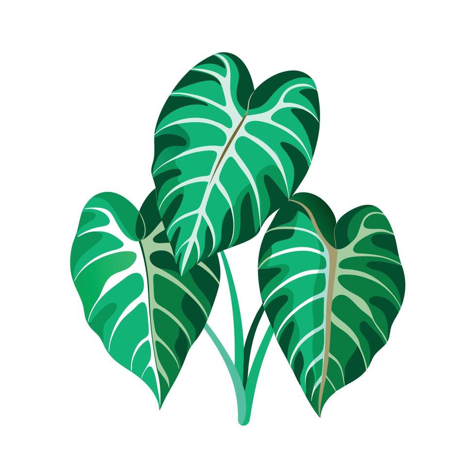 Realistic Beautiful Leaves Illustration vector