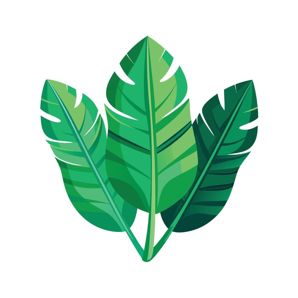 Realistic Beautiful Leaves Illustration vector