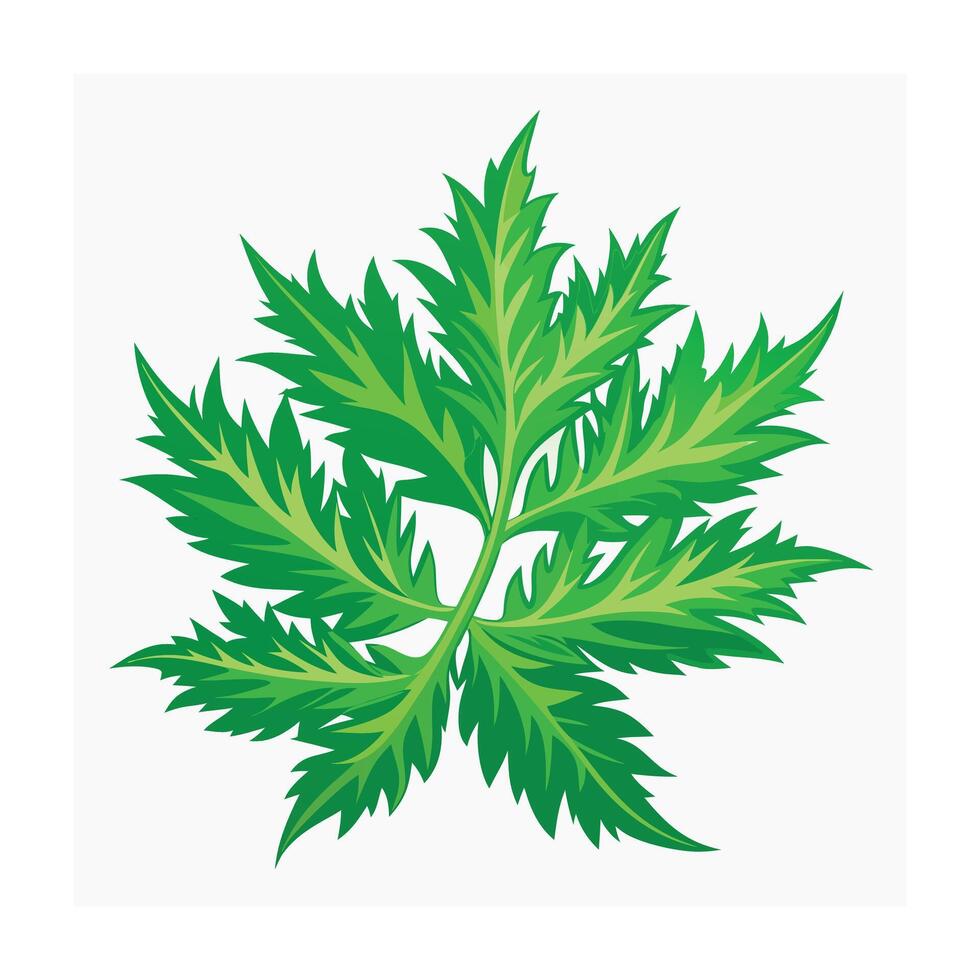 Realistic Beautiful Leaves Illustration vector