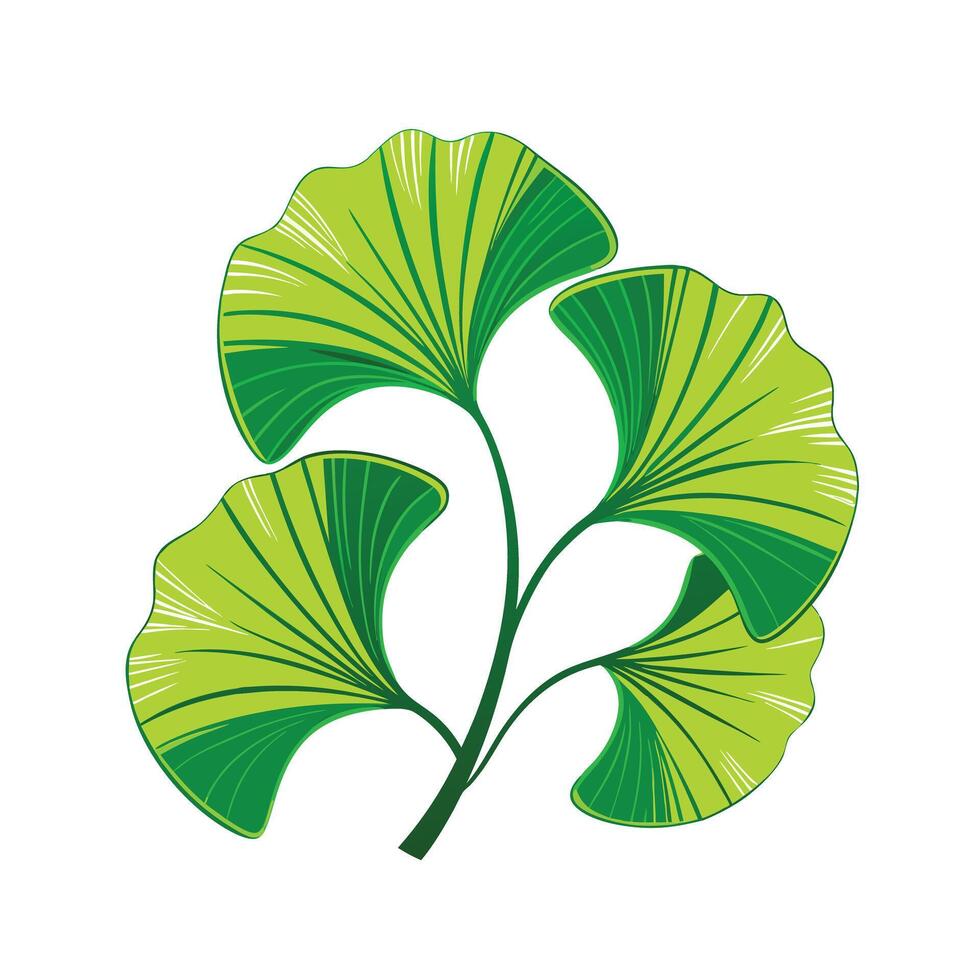 Realistic Beautiful Leaves Illustration vector