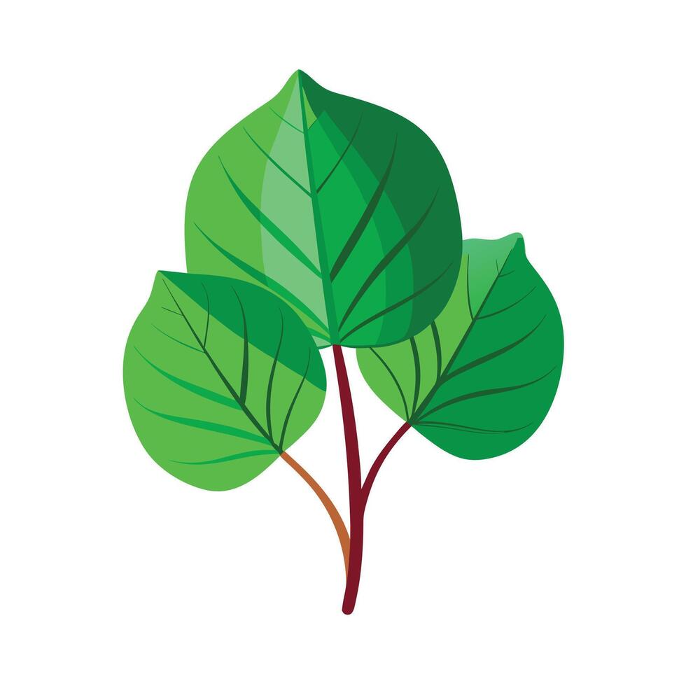 Realistic Beautiful Leaves Illustration vector