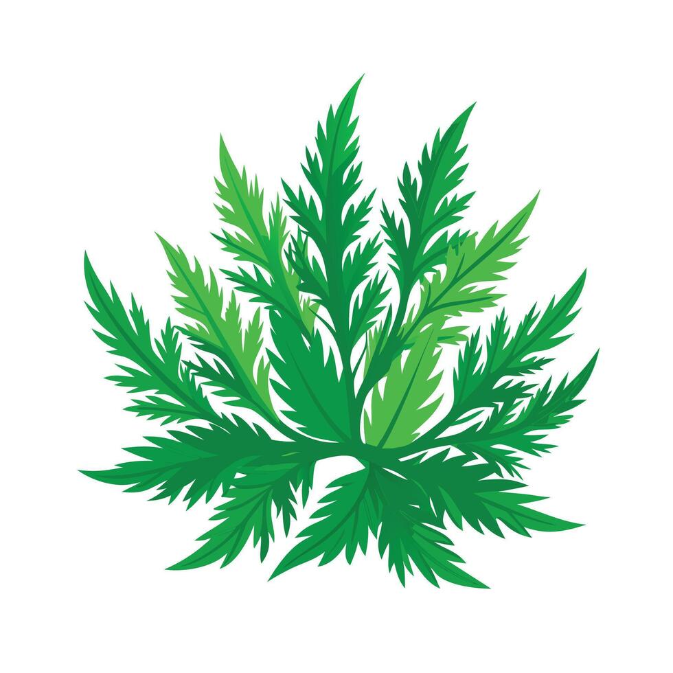 Realistic Beautiful Leaves Illustration vector