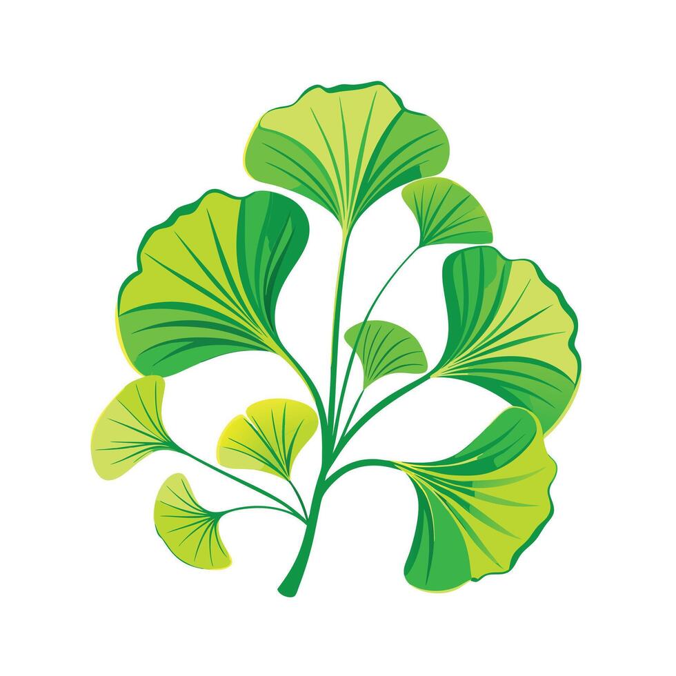 Realistic Beautiful Leaves Illustration vector
