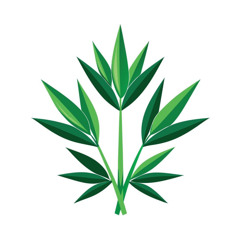 Realistic Beautiful Leaves Illustration vector