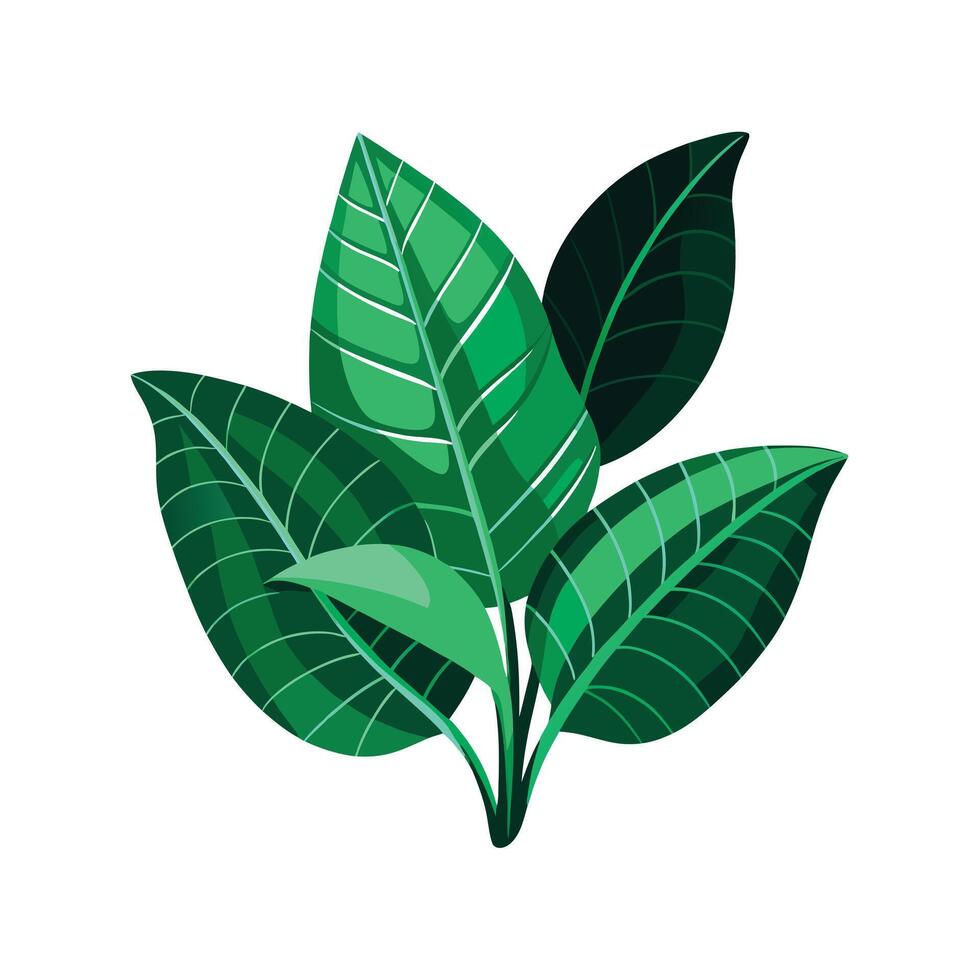Realistic Beautiful Leaves Illustration vector