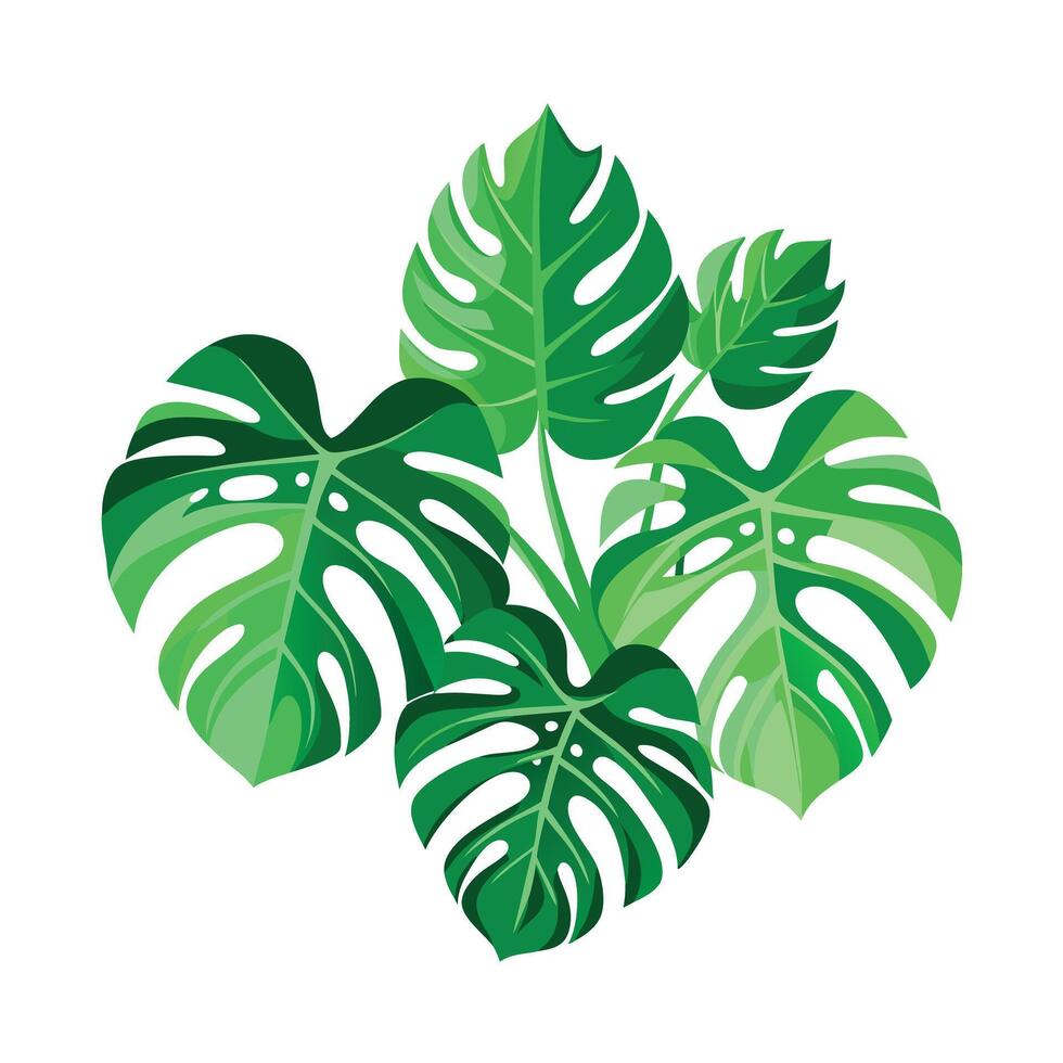 Realistic Beautiful Leaves Illustration vector