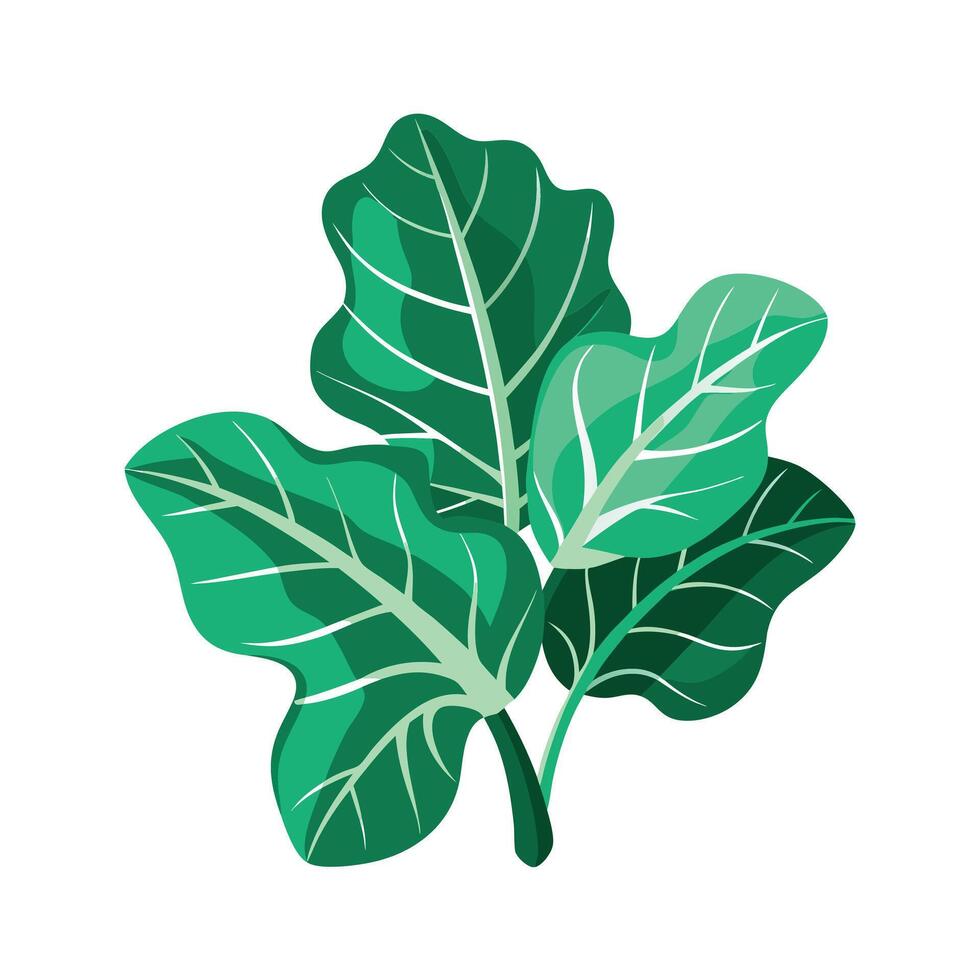 Realistic Beautiful Leaves Illustration vector