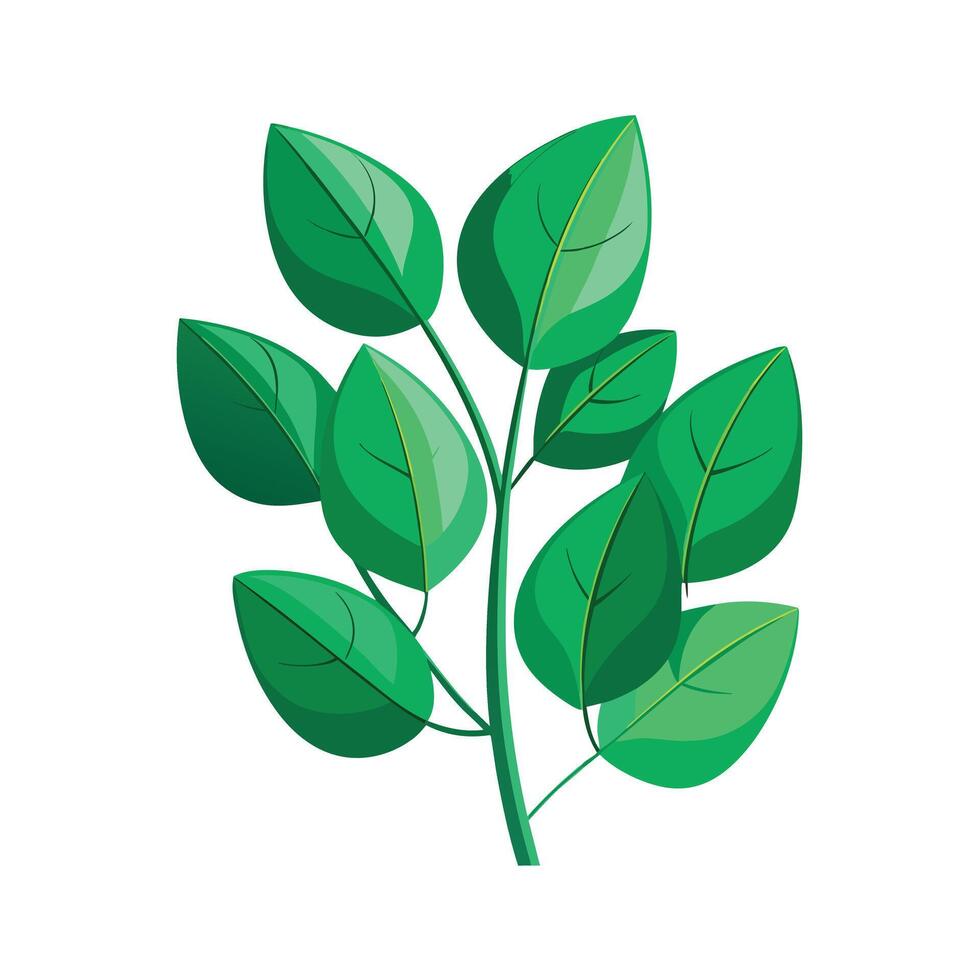 Realistic Beautiful Leaves Illustration vector