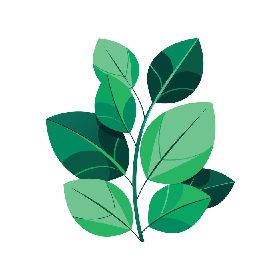 Realistic Beautiful Leaves Illustration vector