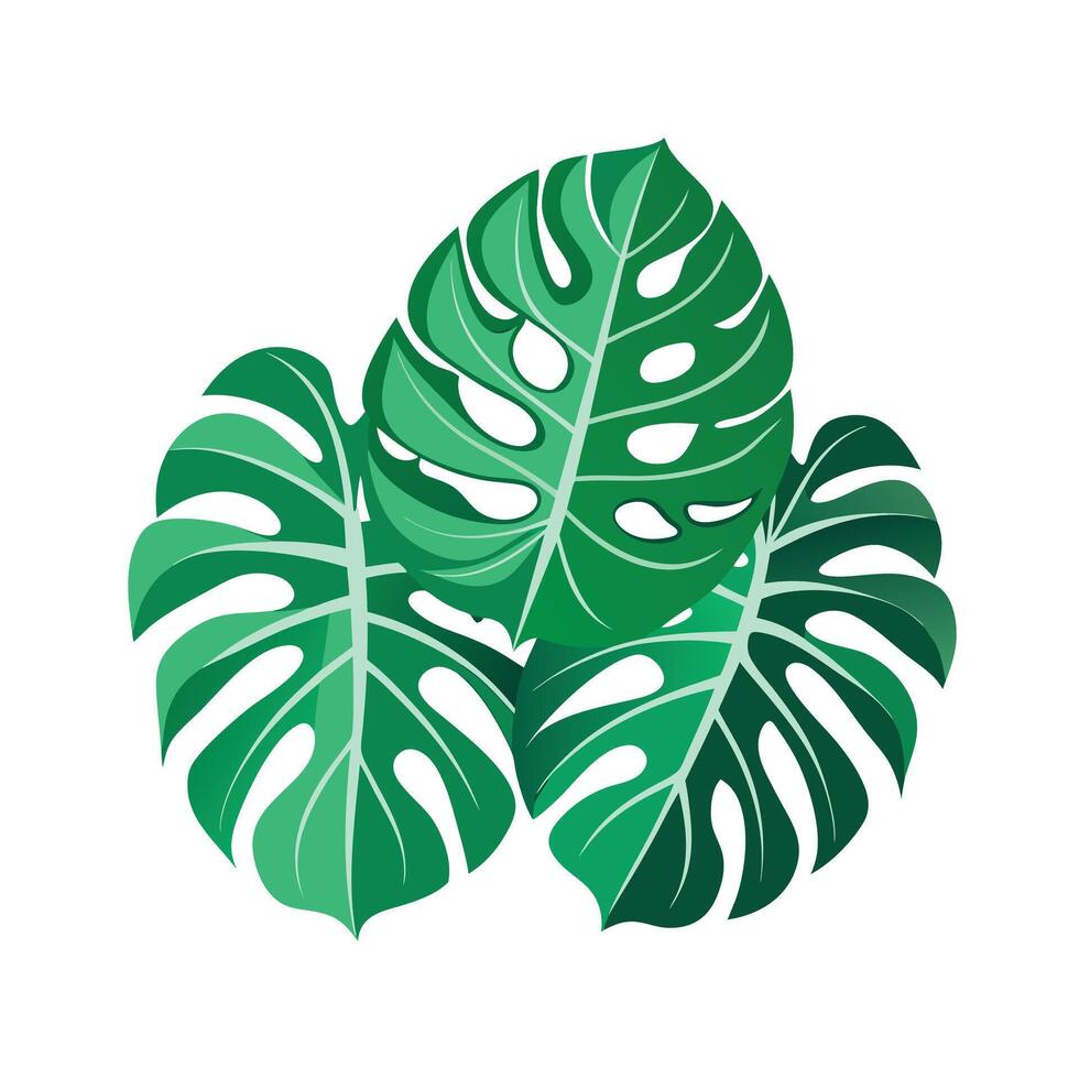 Realistic Beautiful Leaves Illustration vector