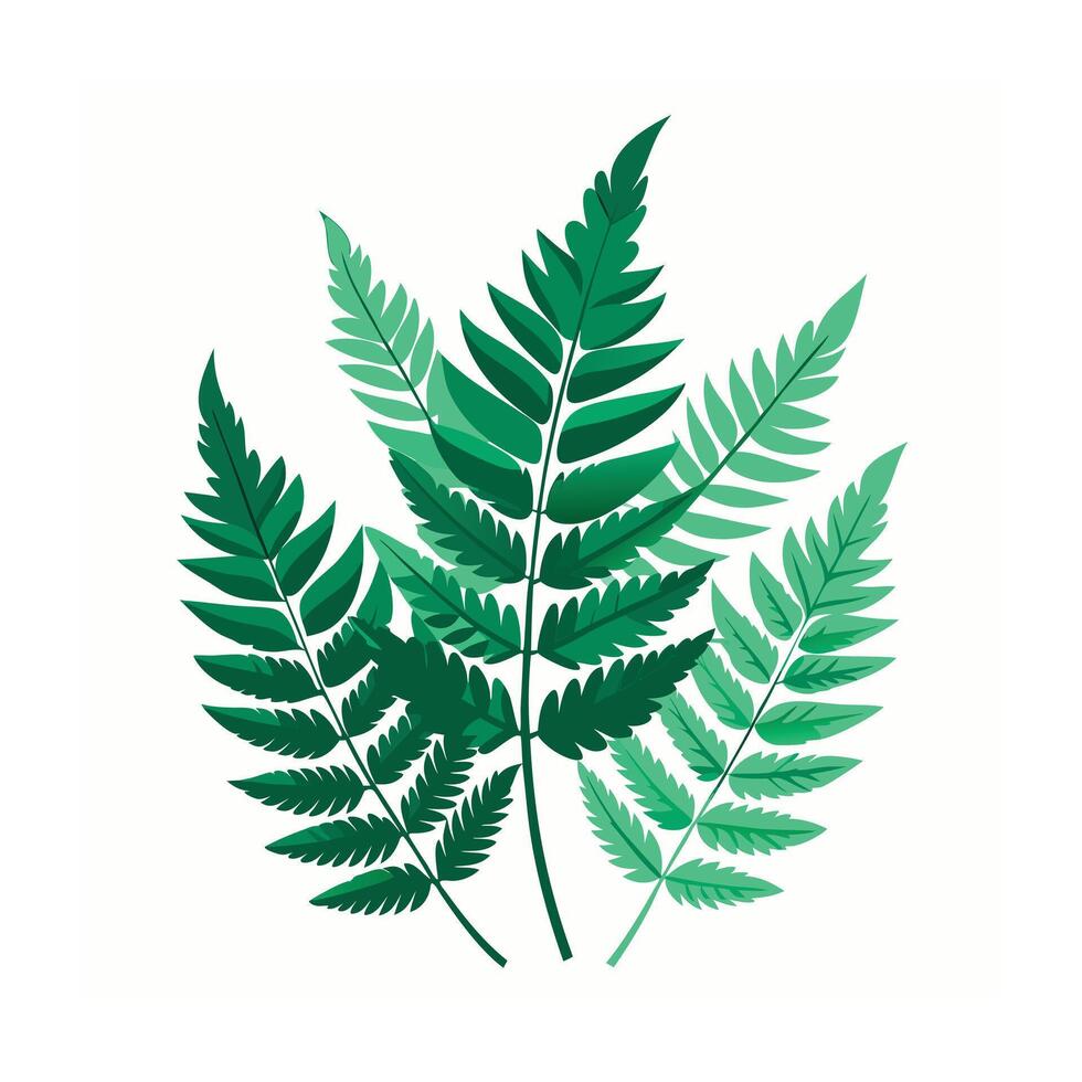 Realistic Beautiful Leaves Illustration vector