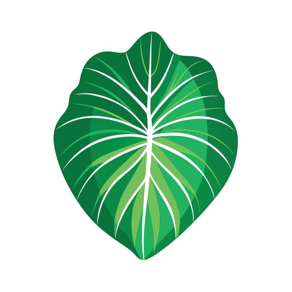Realistic Beautiful Leaves Illustration vector