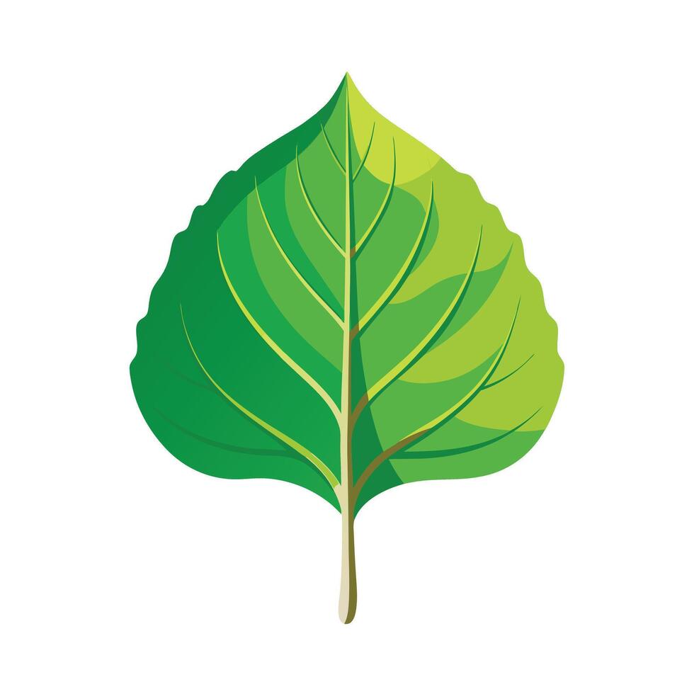 Realistic Beautiful Leaves Illustration vector