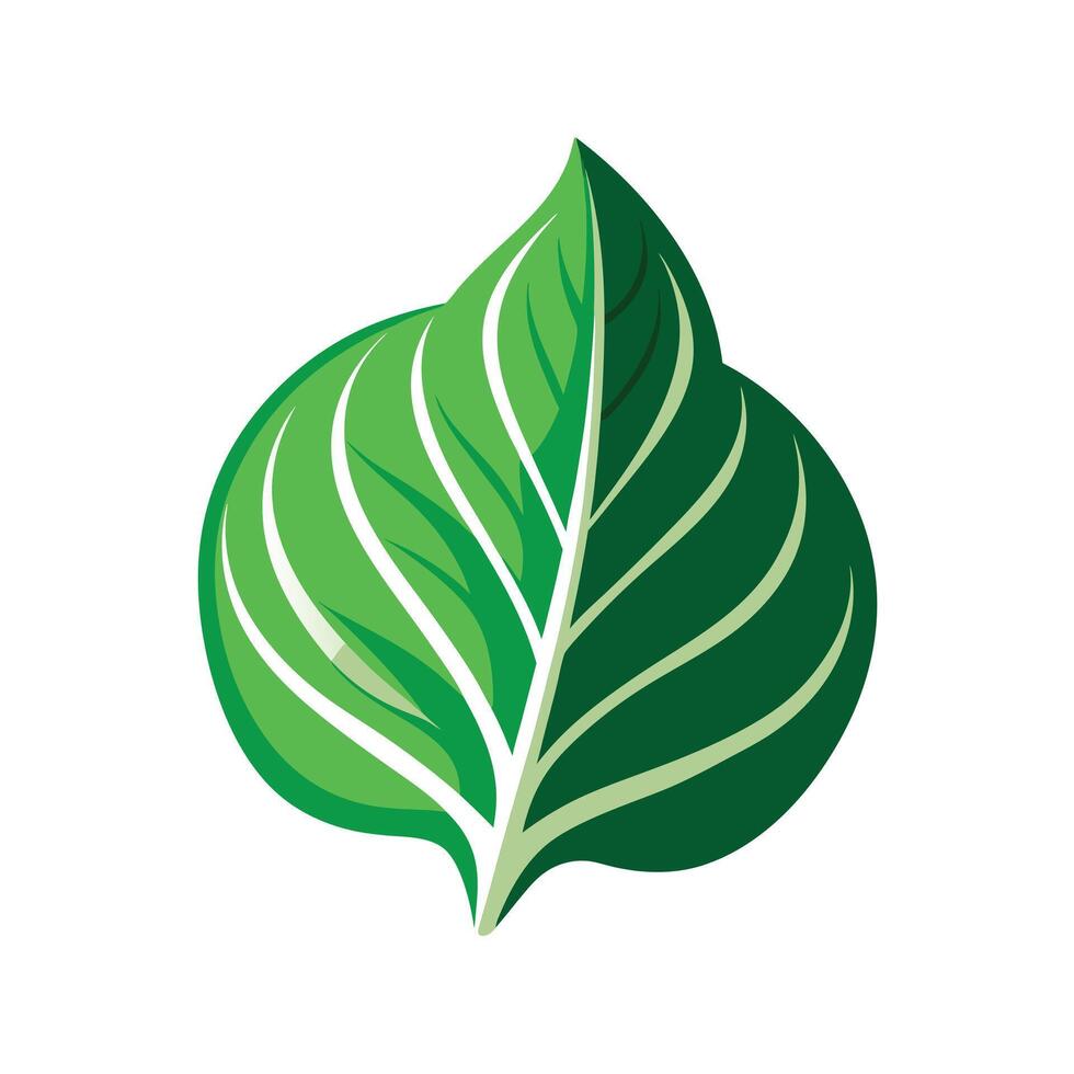 Realistic Beautiful Leaves Illustration vector