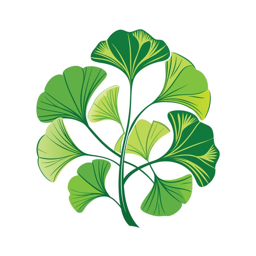 Realistic Beautiful Leaves Illustration vector