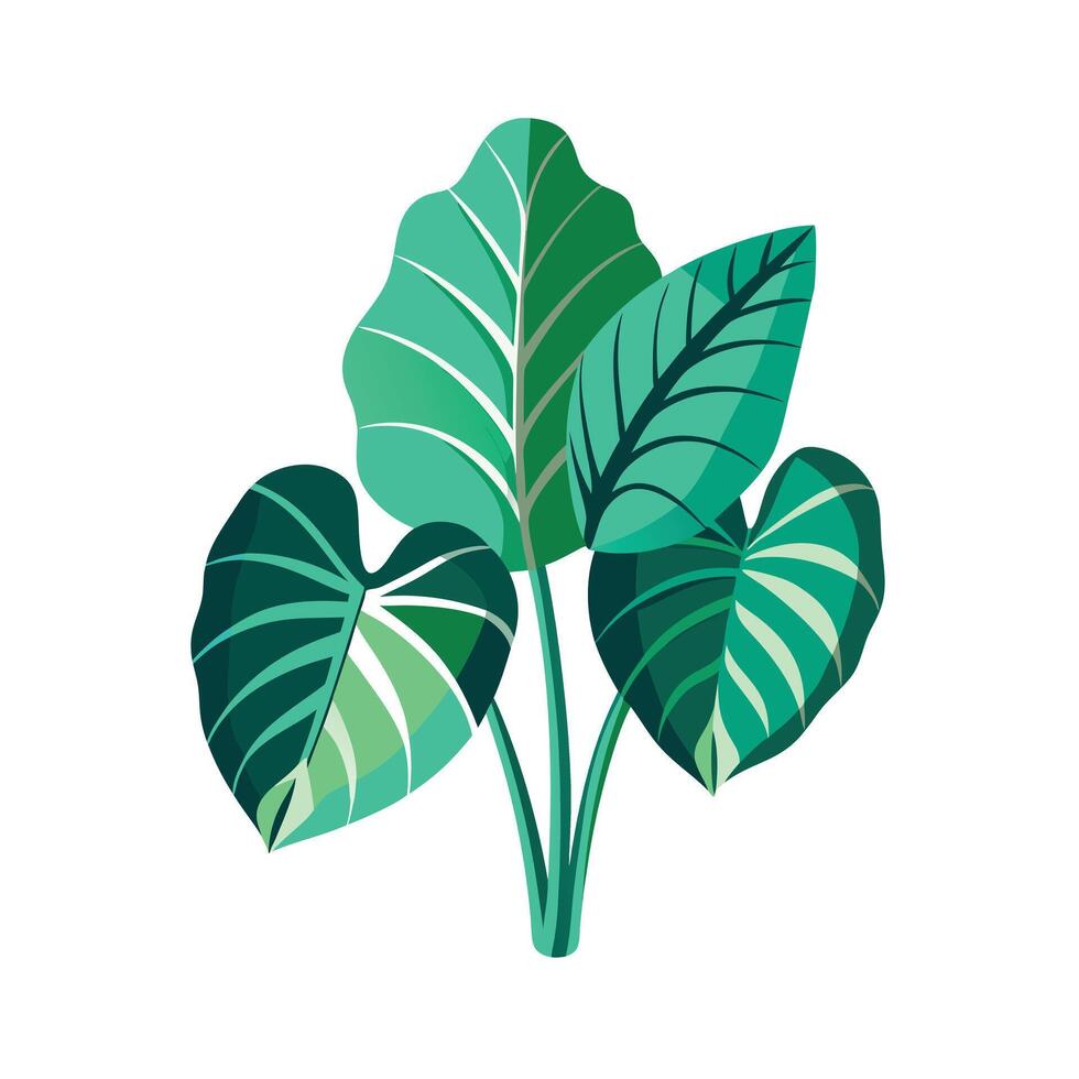 Realistic Beautiful Leaves Illustration vector