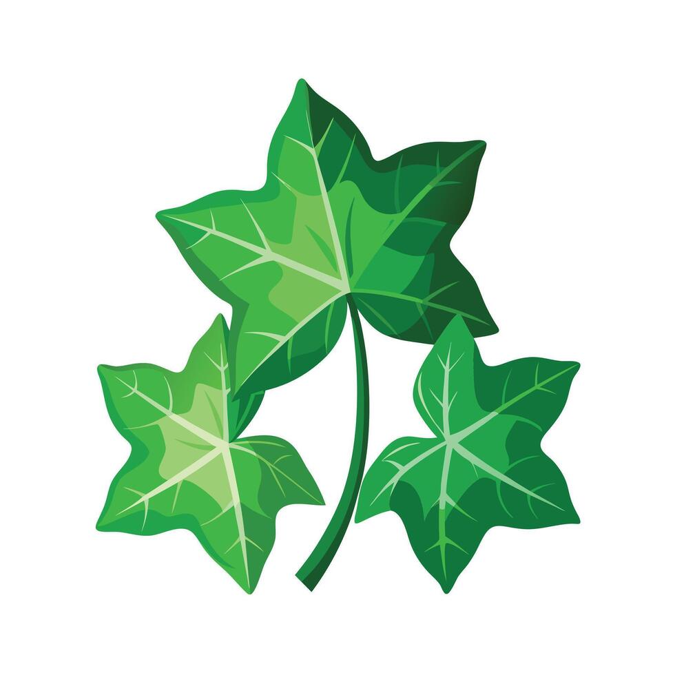 Realistic Beautiful Leaves Illustration vector