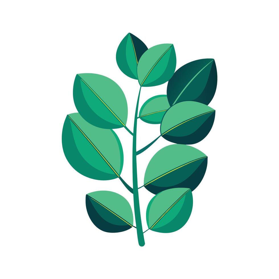 Realistic Beautiful Leaves Illustration vector