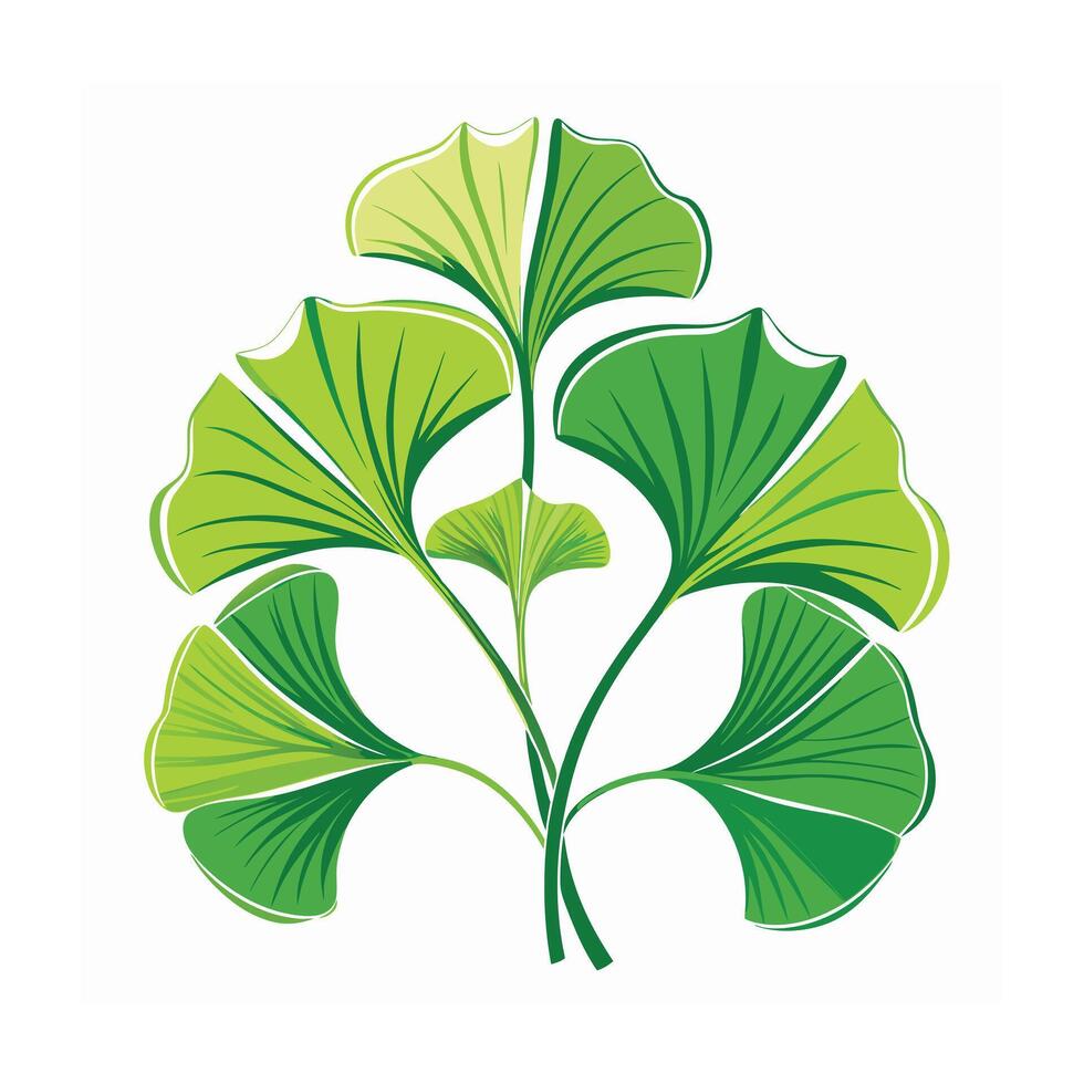 Realistic Beautiful Leaves Illustration vector