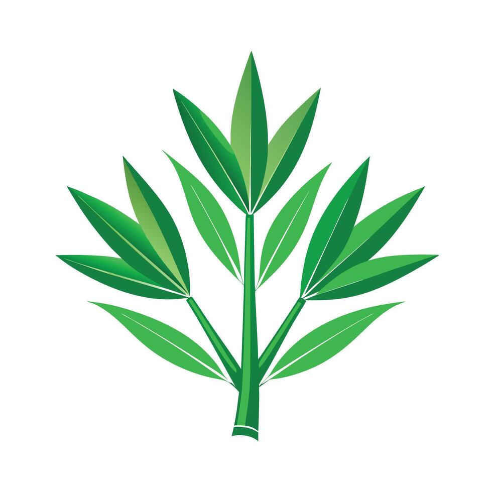 Realistic Beautiful Leaves Illustration vector