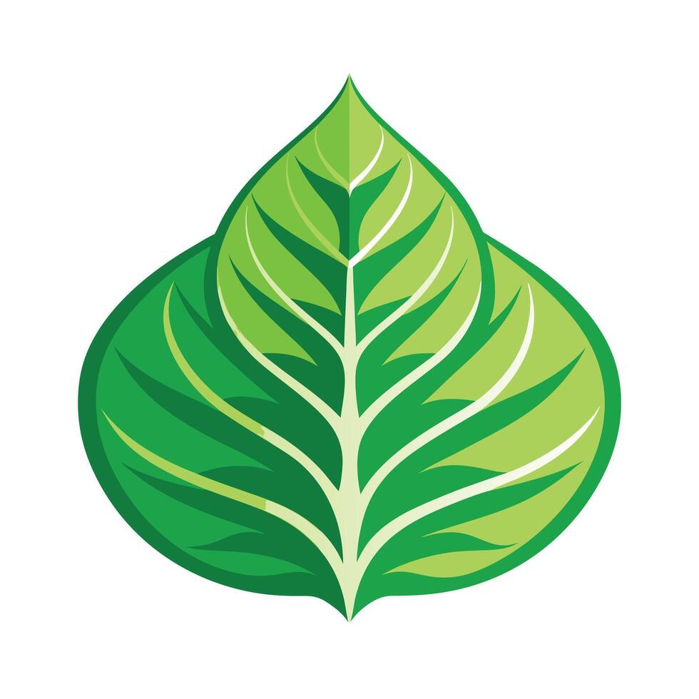 Realistic Beautiful Leaves Illustration vector