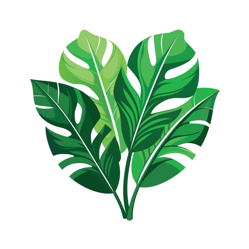 Realistic Beautiful Leaves Illustration vector