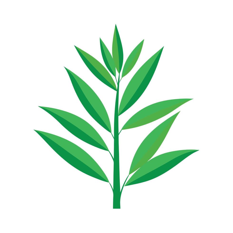 Realistic Beautiful Leaves Illustration vector
