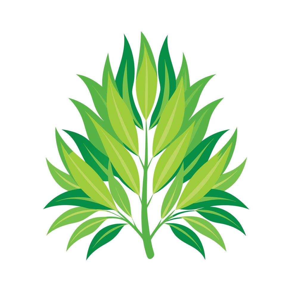 Realistic Beautiful Leaves Illustration vector