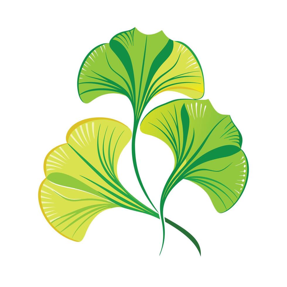 Realistic Beautiful Leaves Illustration vector