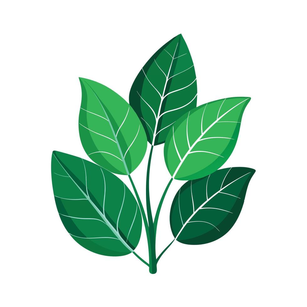 Realistic Beautiful Leaves Illustration vector