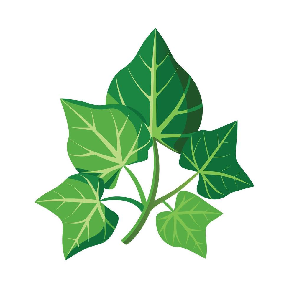 Realistic Beautiful Leaves Illustration vector