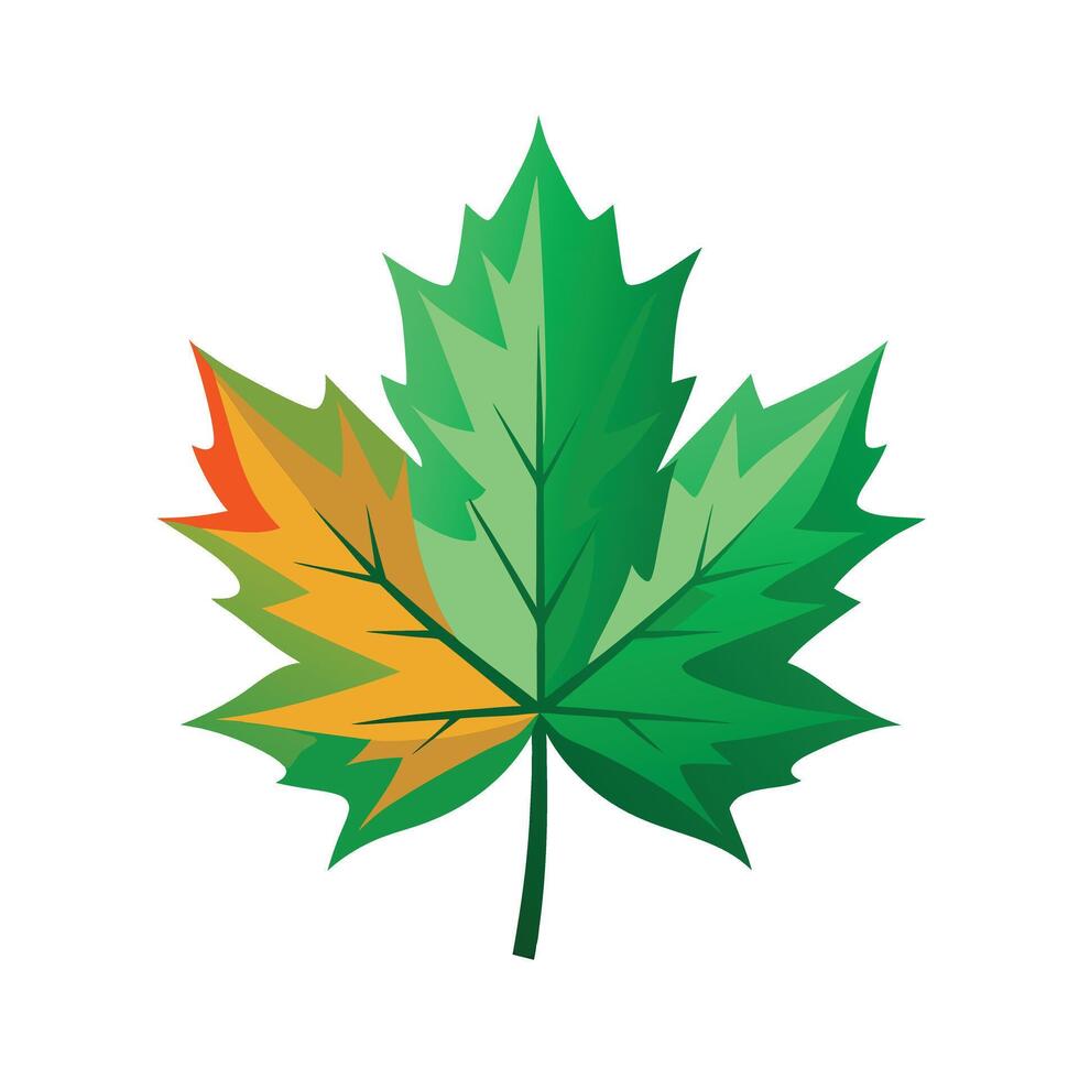 Realistic Beautiful Leaves Illustration vector