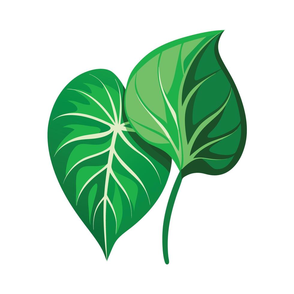 Realistic Beautiful Leaves Illustration vector