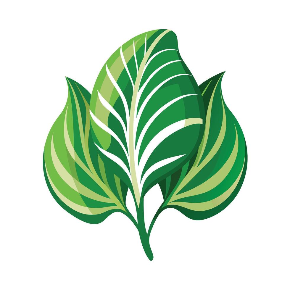 Realistic Beautiful Leaves Illustration vector