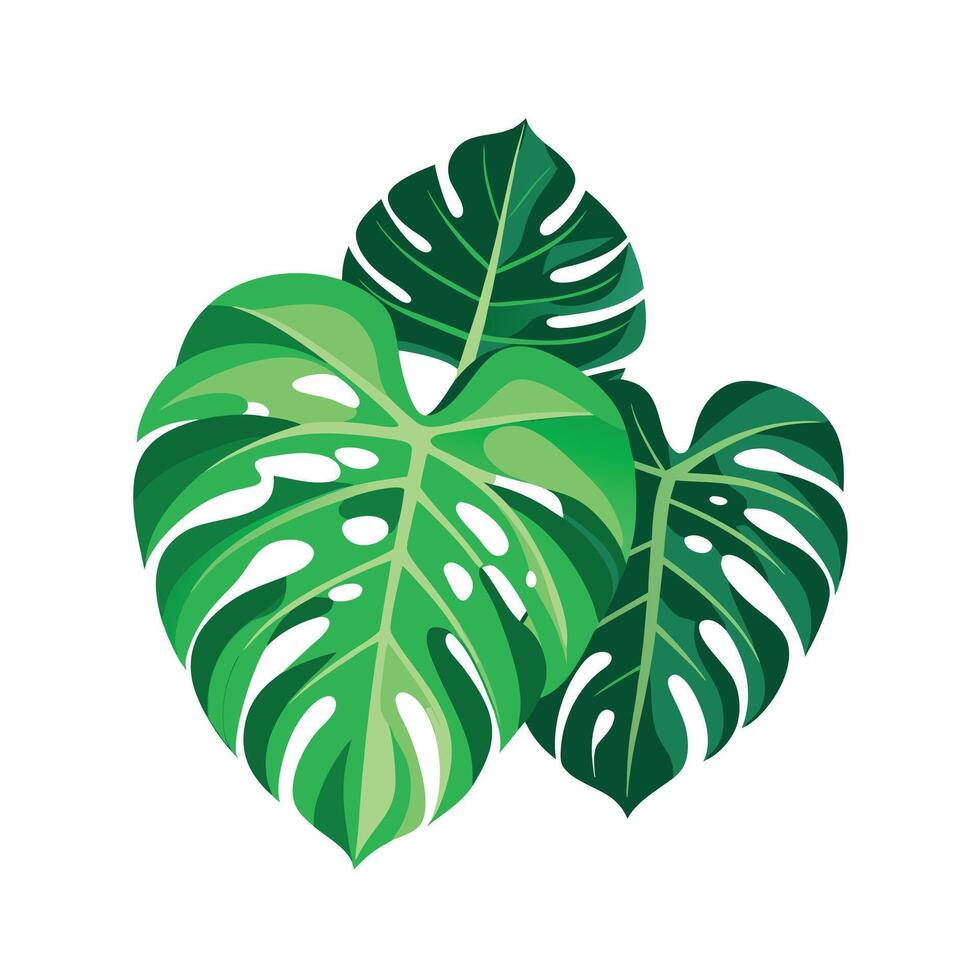 Realistic Beautiful Leaves Illustration vector