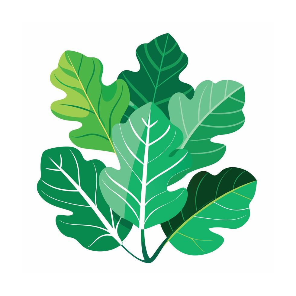 Realistic Beautiful Leaves Illustration vector