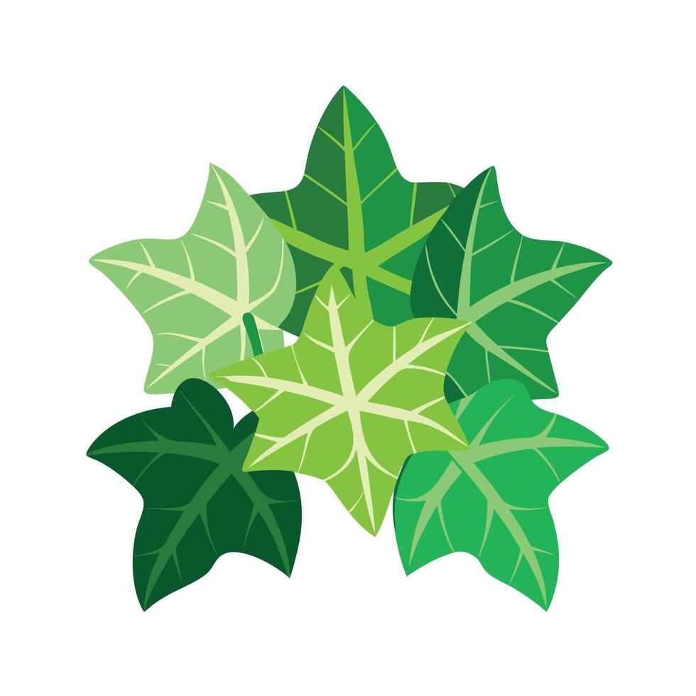 Realistic Beautiful Leaves Illustration vector