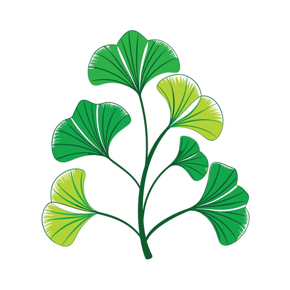 Realistic Beautiful Leaves Illustration vector