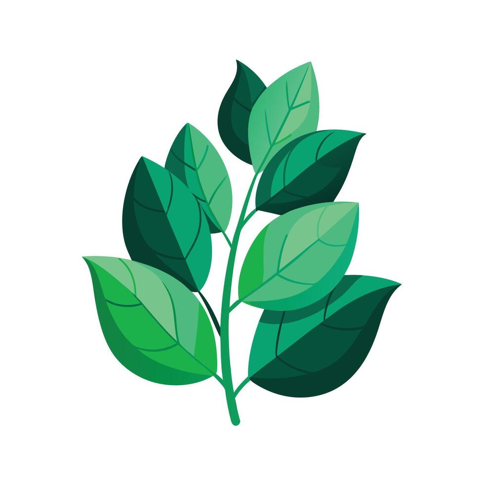 Realistic Beautiful Leaves Illustration vector