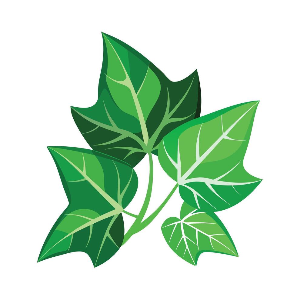Realistic Beautiful Leaves Illustration vector