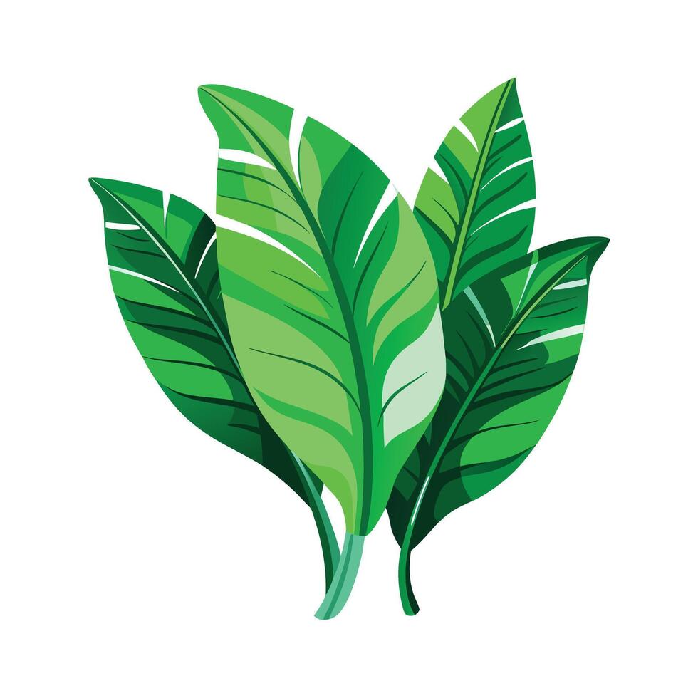 Realistic Beautiful Leaves Illustration vector